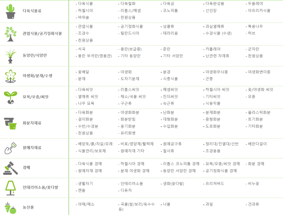 엑스플랜트 식물 상품 엑스플랜트 다육실물 관엽식물 공기정화 동양란 서양란 야생화 분재 수생 모목 모종 씨앗 화분자재